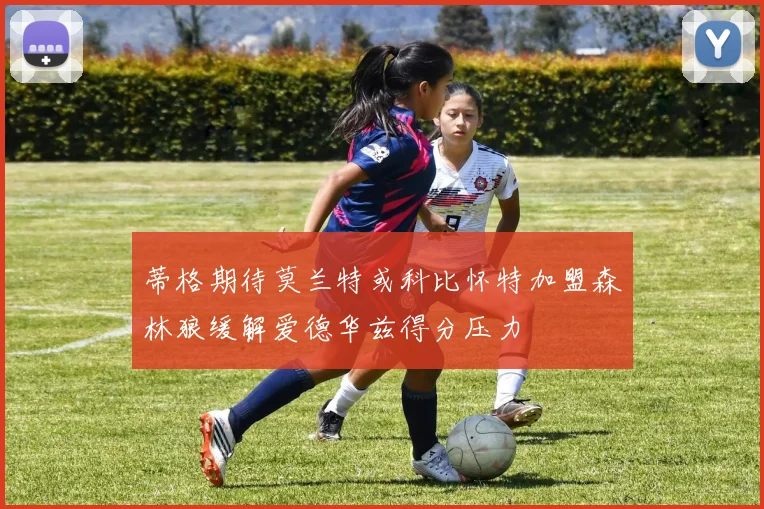 蒂格期待莫兰特或科比怀特加盟森林狼缓解爱德华兹得分压力