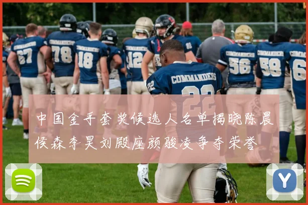 中国金手套奖候选人名单揭晓陈晨侯森李昊刘殿座颜骏凌争夺荣誉