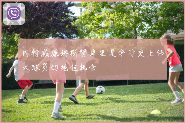 内特威廉姆斯赞库里是学习史上伟大球员的绝佳机会
