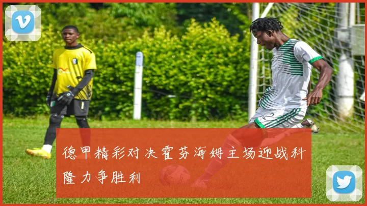 德甲精彩对决霍芬海姆主场迎战科隆力争胜利