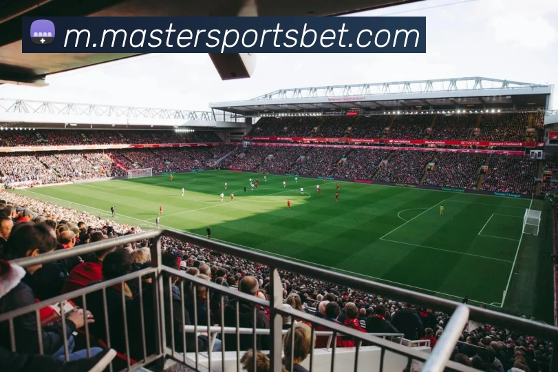 大师体育APP 封面图